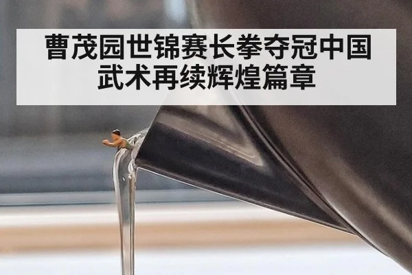 曹茂园世锦赛长拳夺冠中国武术再续辉煌篇章