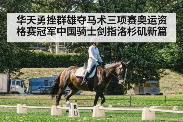 华天勇挫群雄夺马术三项赛奥运资格赛冠军中国骑士剑指洛杉矶新篇