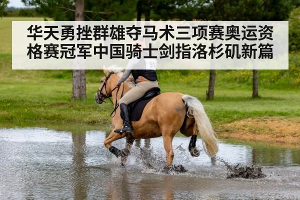 cross country horse riding