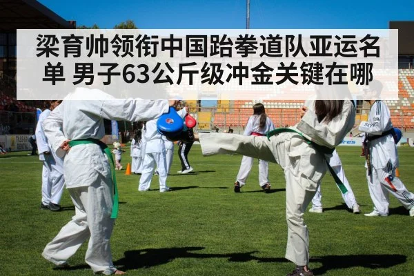 taekwondo kick