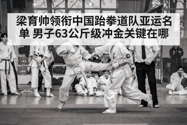 taekwondo competition